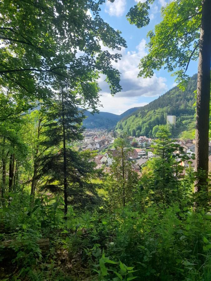Ferienwohnung Am Enzufer Mit Balkon In Bad Wildbad Im Schwarzwald 외부 사진